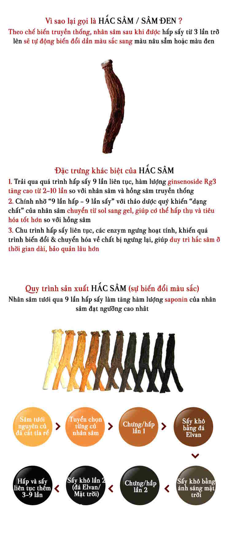 Hắc sâm củ khô Hàn Quốc